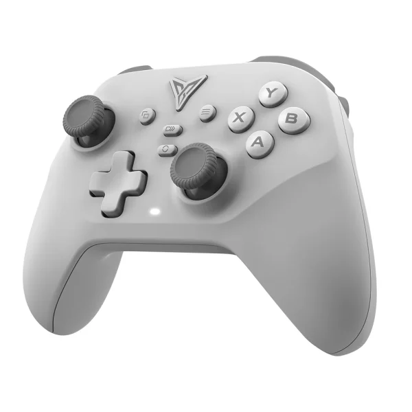 FLYDIGI DuneFox Wireless Controller FLYDIGI DuneFox Wireless Controller