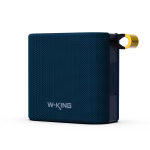 W-KING D2
