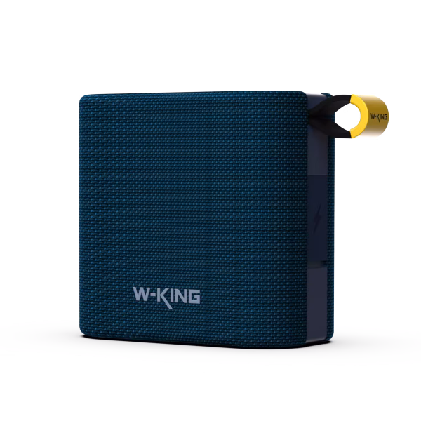 W-KING D2
