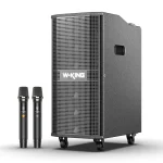 W-KING K20